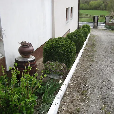 Apartment Yasica 2 3*