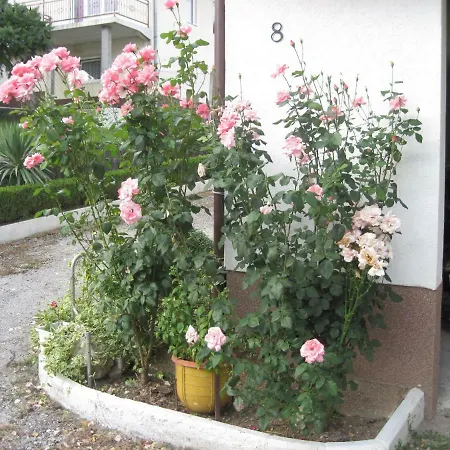 Guest house Yasica 2 3*