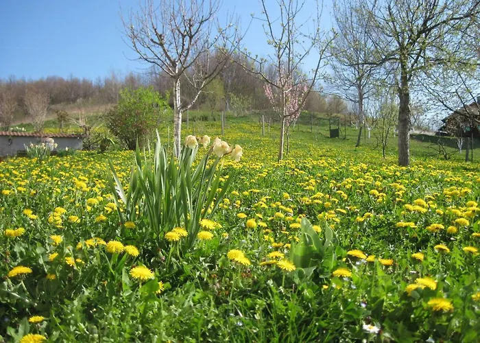 Apartment Yasica 2 Vendégház 3*