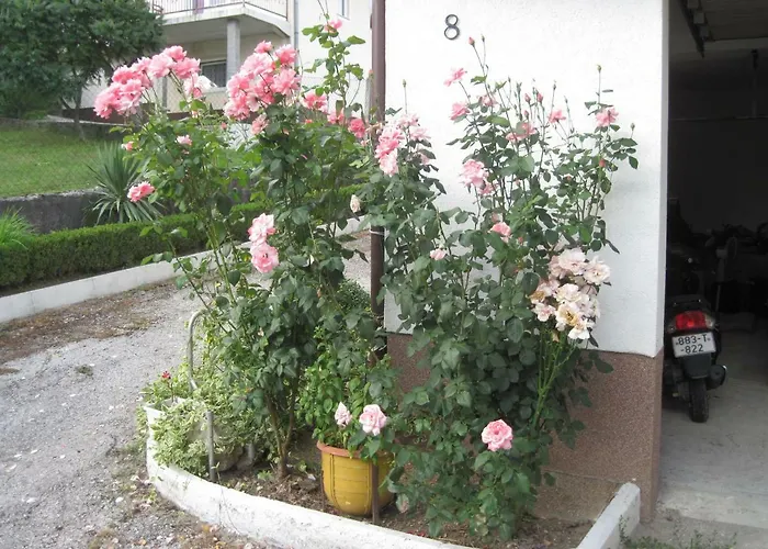 Vendégház Apartment Yasica 2 3*