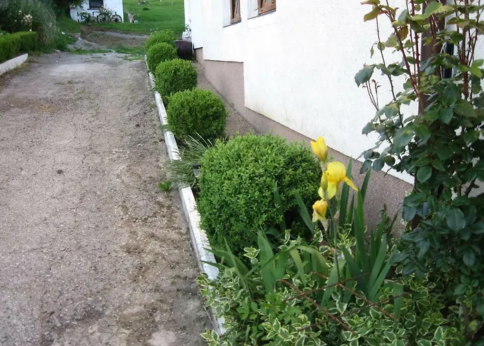 Apartment Yasica 2 3*